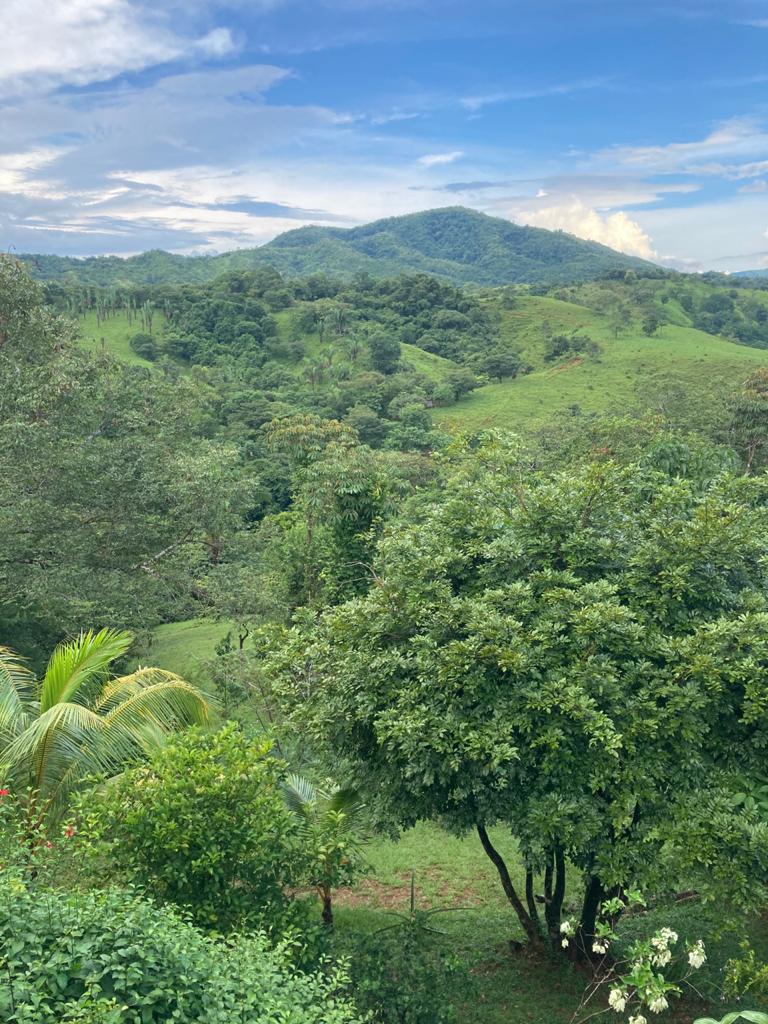 Riverfront Home/Estate in the Mountains of the Mariato Coast