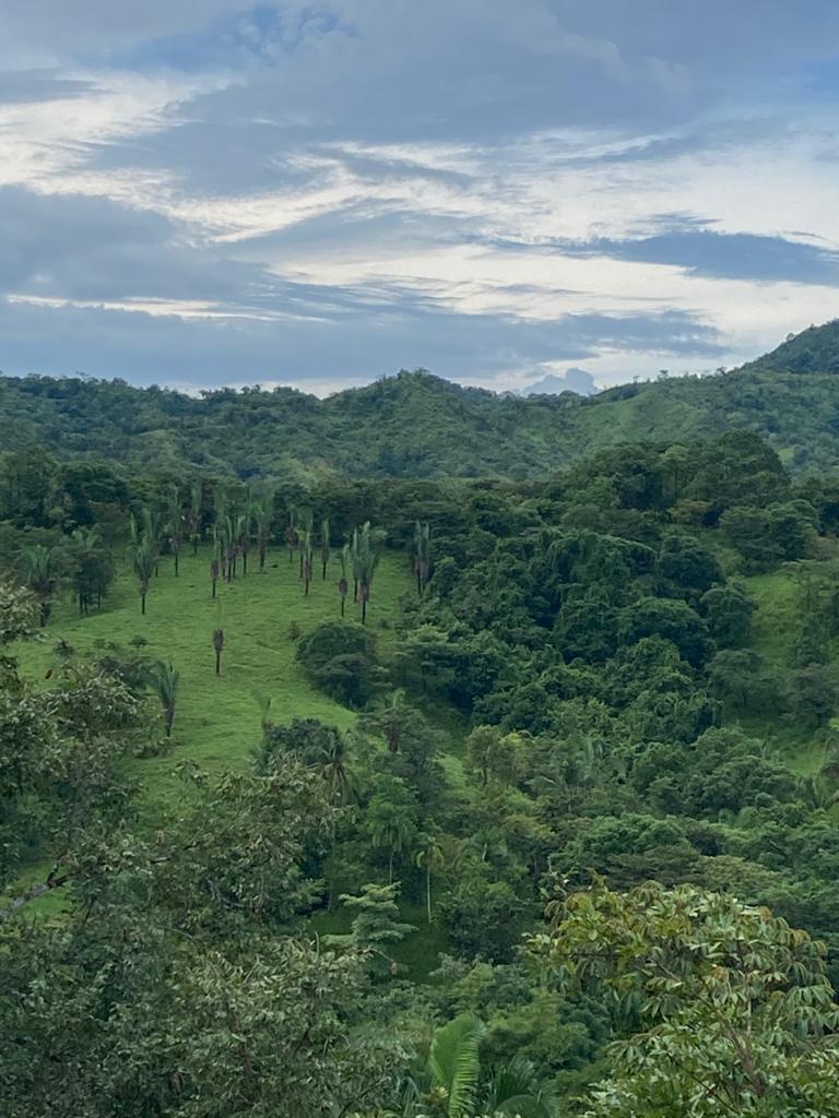 Riverfront Home/Estate in the Mountains of the Mariato Coast